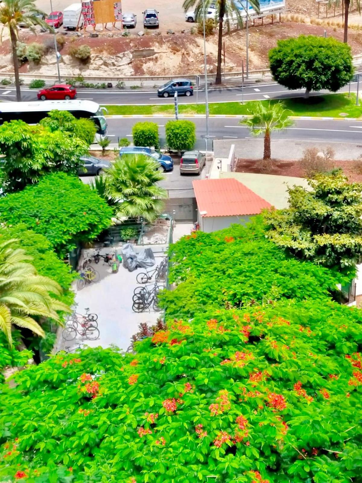 Appartement Sweet Ocean View