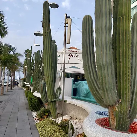 Sweet Apartment Ocean View Playa de las Americas  Exterior photo